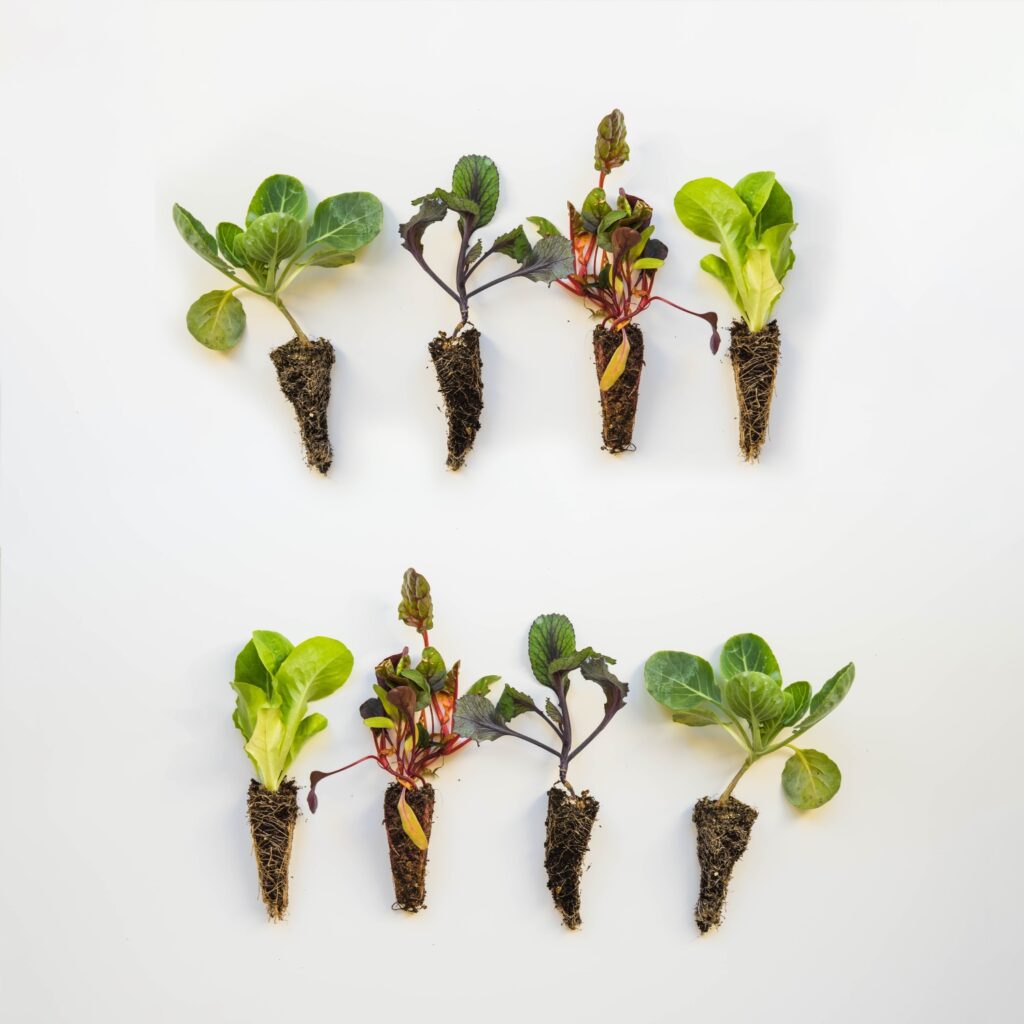 How to Increase Website Traffic